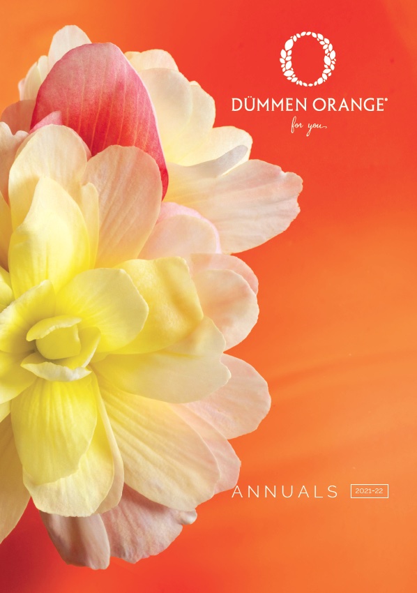 Catalogs Dümmen Orange
